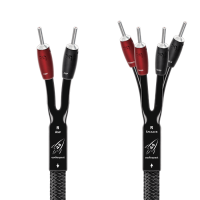 Read Nintronics Reviews